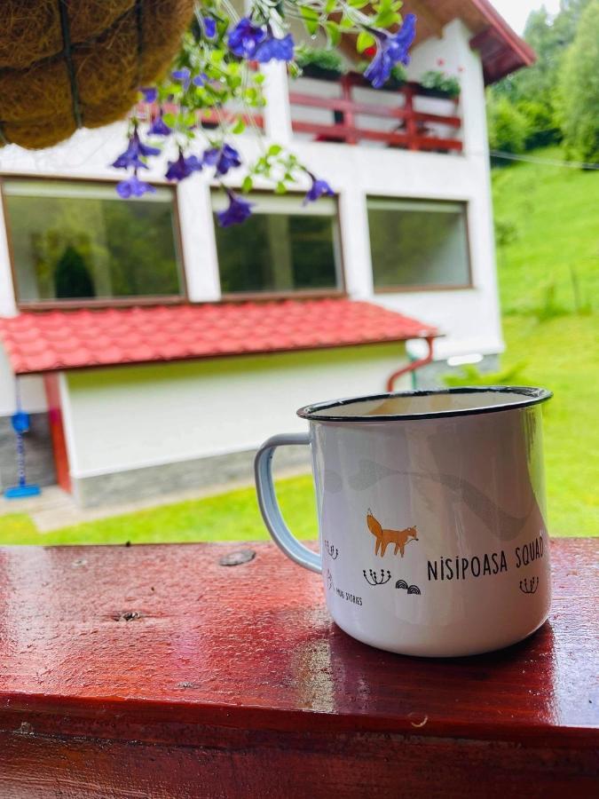 Cabana Nisipoasa Rîu de Mori Buitenkant foto
