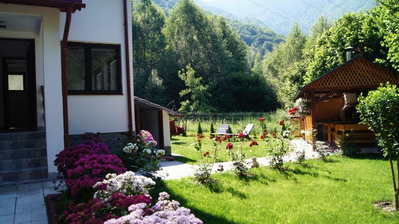 Cabana Nisipoasa Rîu de Mori Buitenkant foto