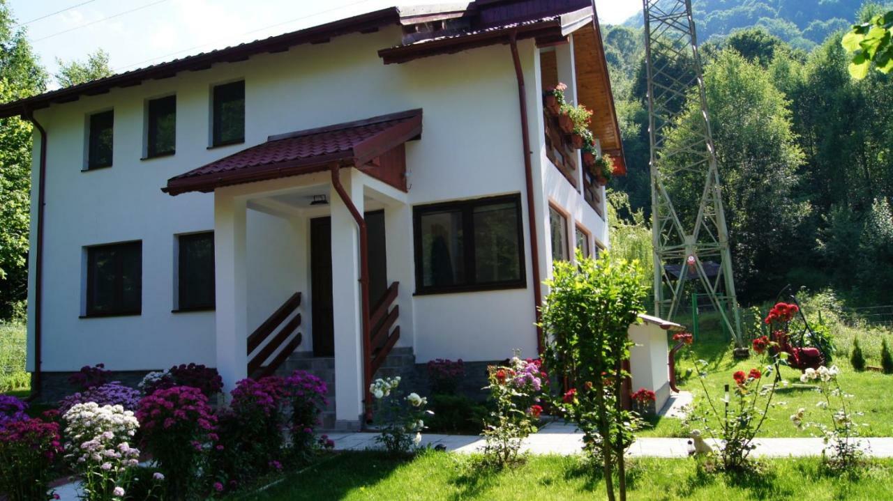 Cabana Nisipoasa Rîu de Mori Buitenkant foto